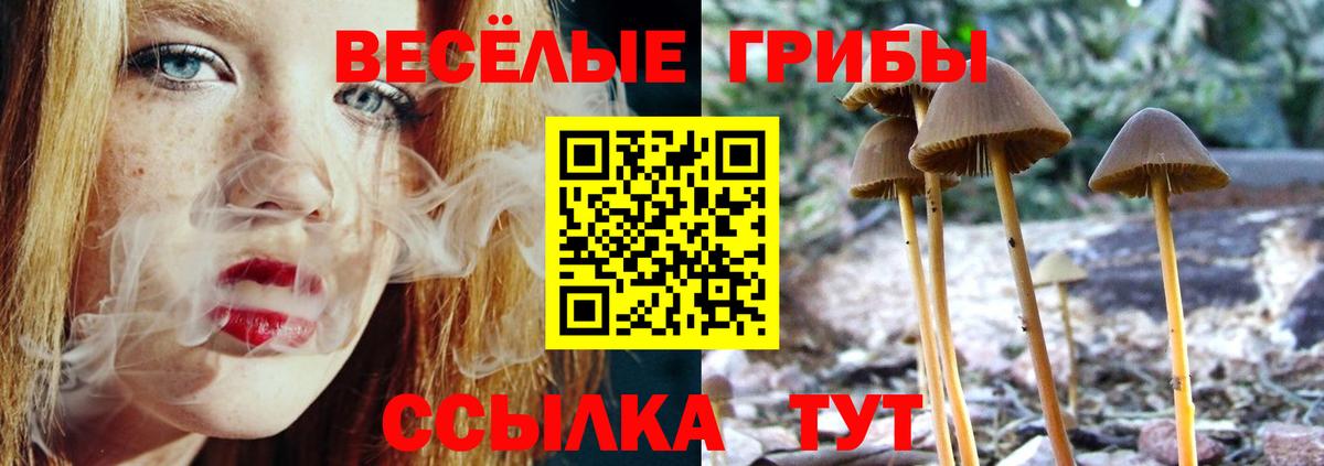 Псилоцибиновые грибы MAGIC MUSHROOMS Чебаркуль