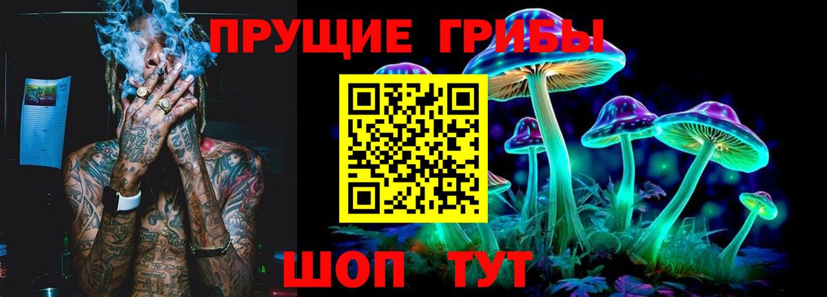 Галлюциногенные грибы мицелий  Вход с VPN  цена   Галлюциногенные грибы GOLDEN TEACHER  Чебаркуль 